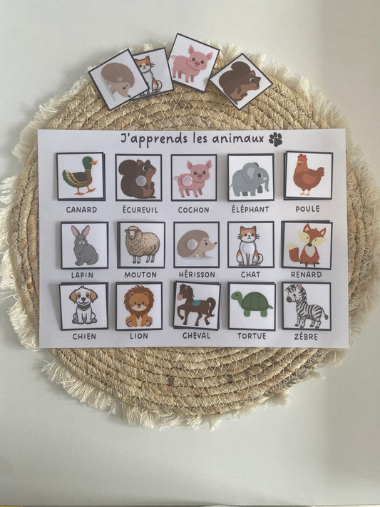 Support d’apprentissage les Animaux